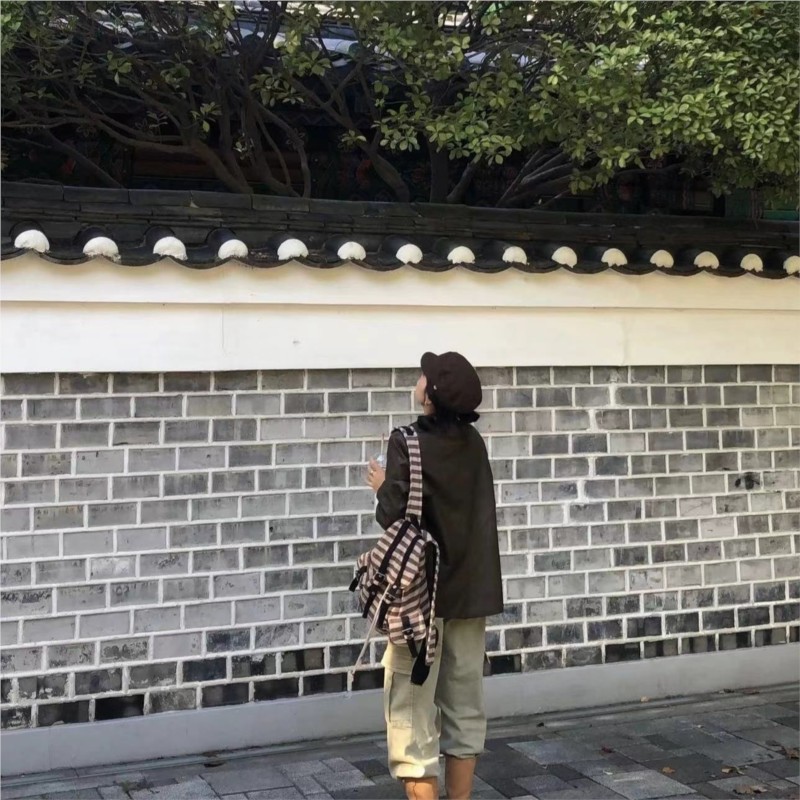 Harajuku Vintage Backpack Wome - огляд і ціна Women'S Vegan Bags
